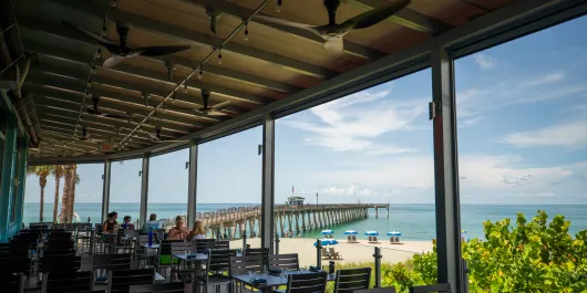 Fins at Sharkys