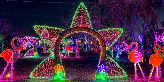 selby gardens lights in bloom