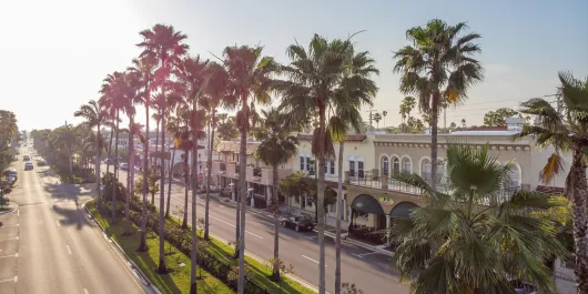Venice Avenue