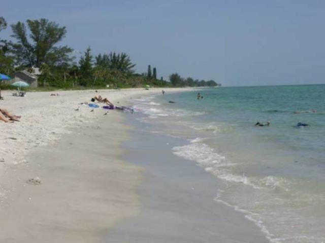 1169_640x481.jpg