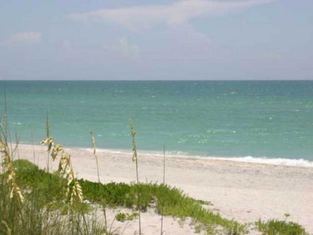 1183_640x481.jpg