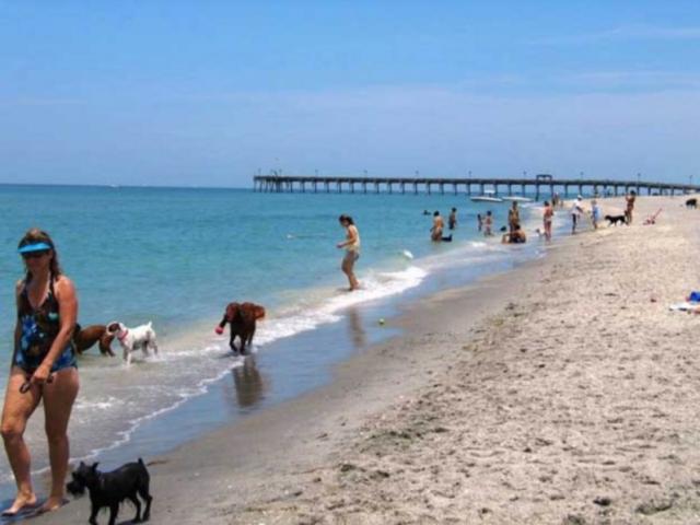 1181_640x481.jpg