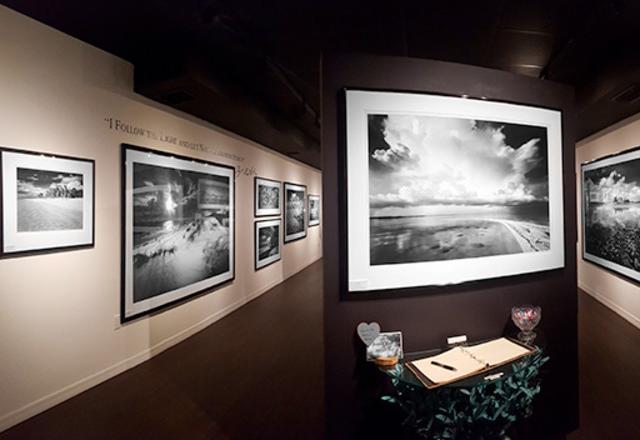 St. Armands Gallery
