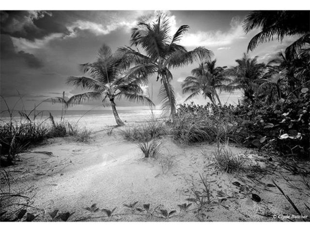 Estero Island - "The beaches of Florida are among some of the most beautiful in the world. Our heart-felt and economic appreciation of our beaches should necessitate our involvement in protecting their environment. PLEASE don’t let anyone put oil wells offshore of Florida. I am from Southern California where one has to take paint remover to the beach in order to remove the oil waste from soles of our feet. Let’s make sure that doesn’t happen to our beautiful Florida beaches." -Clyde Butcher