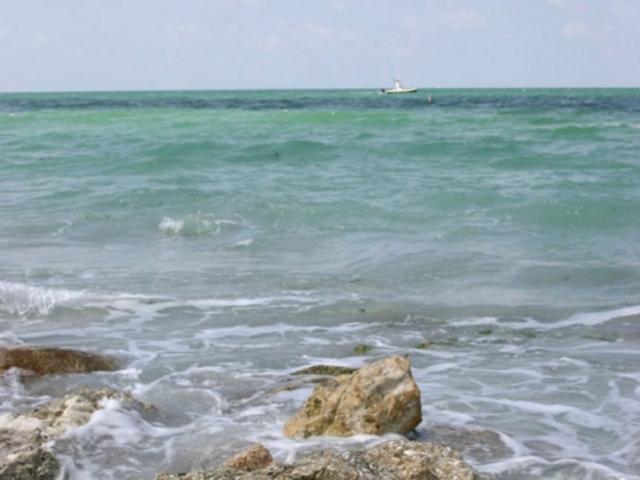 1310_640x481.jpg