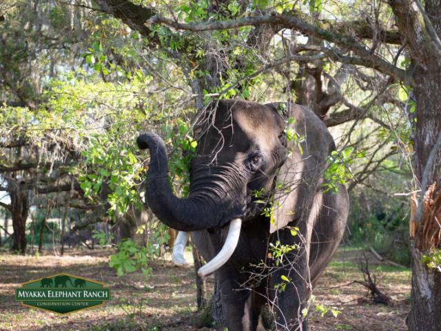 Non profit Conservation Center
