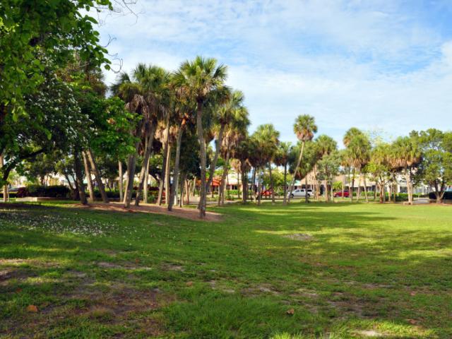 Inside the Park - Locals and visitors enjoy shopping, eating and festivals inside the park.
