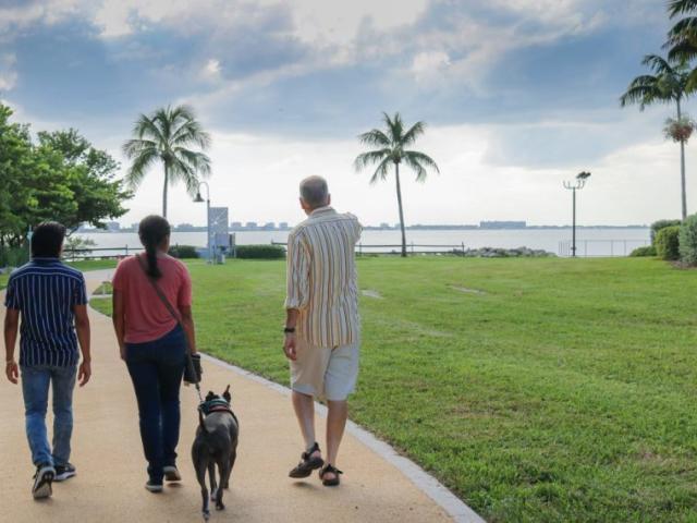 The Bay walk