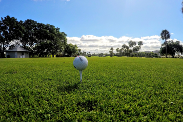 Golf ball sitting on a tee under a blue sky
