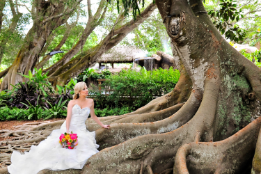 Woman in wedding dress sitting on large tree roots