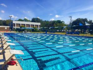 Arlington Park & Aquatic Complex - 50-Meter Lap Pool & 25-Yard Pool
Public Swim Hours of Operation:
Monday – Friday, 10 am – 4 pm; By Reservation Only

Adult (18 - 54) $4 
Youth (17 & under) $2 
Senior (55 & up): $2