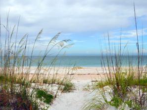 North Lido Beach Park - The park contains an upland area with 49 acres of Australian pine woods, grassy savannahs and walking trails, plus 22.5 acres of beach and mangroves. Bird nesting areas on the beach are protected and visitors should be careful not to disturb the nests.