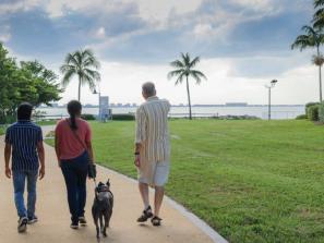 The Bay walk