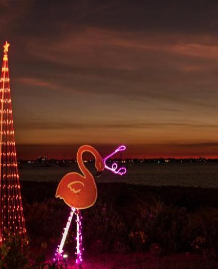 Light up trees and flamingos by water. in late evening