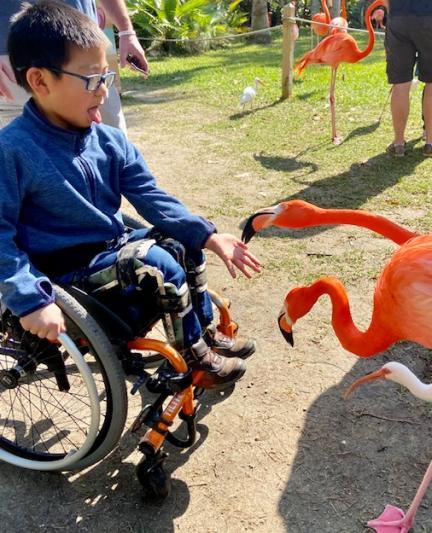 Child in wheelchair