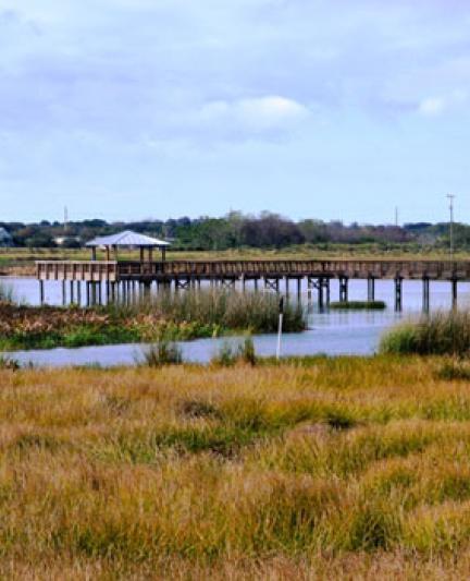 Celery Fields, Sarasota