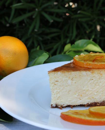Authentic Florida Cheesecake - single slice. Photo by Robin Draper