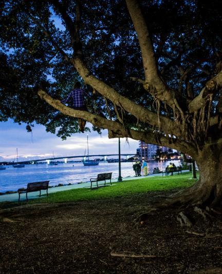 Sarasota Bayfront Park