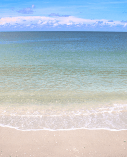 Blind Pass Shoreline