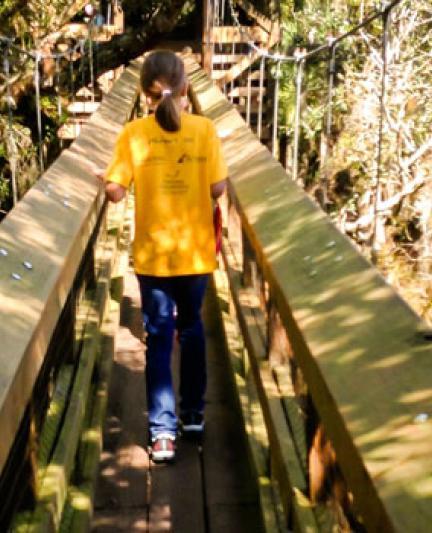 Canopy-walkway_OPT.jpg