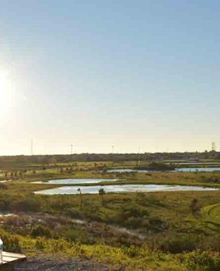 Celery Fields.  Photo by Eddie Kirsch