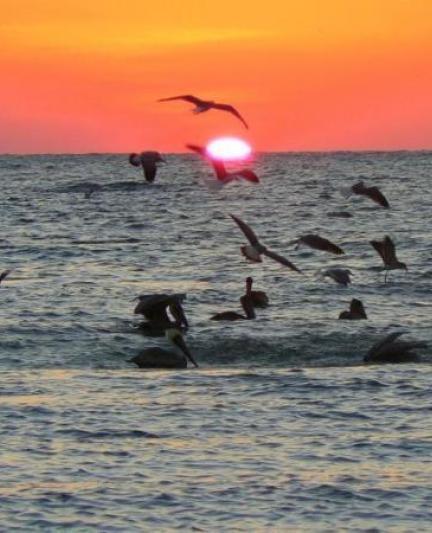 Community Character - Past meets Present in Nokomis, Florida_1.jpg