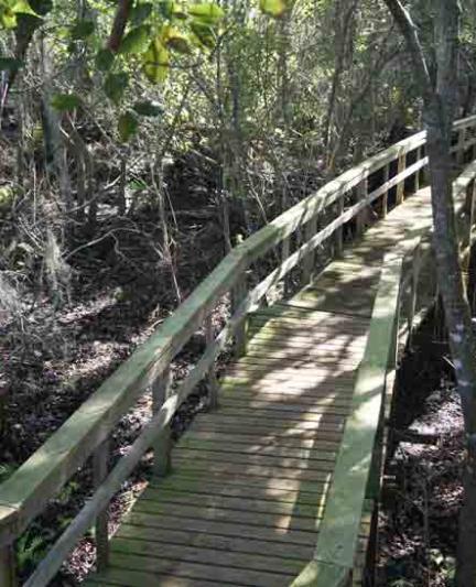 Crowley Walkway.  Photo by Eddie Kirsch