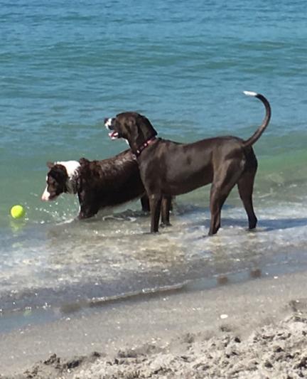 Photo credit: Nicole Coudal