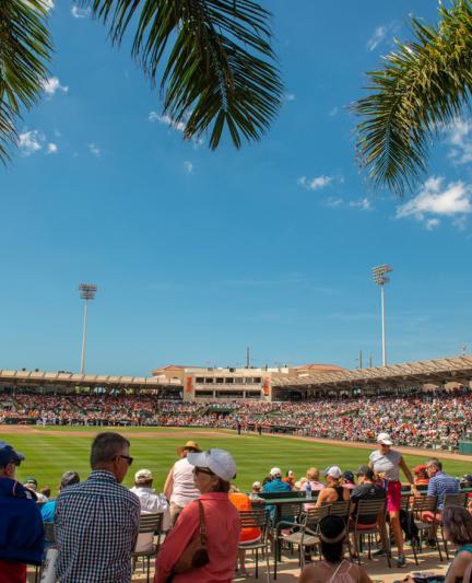 Baltimore Orioles at Ed Smith Stadium