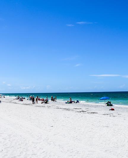 Englewood-Beach081915_029NEW__OPT_0.jpg