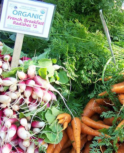 Farmers Market. Photo credit: Robin Draper.
