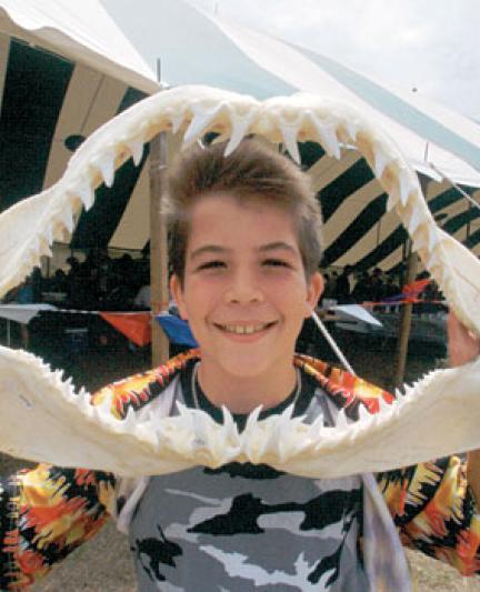 Looking through the mouth of a shark.