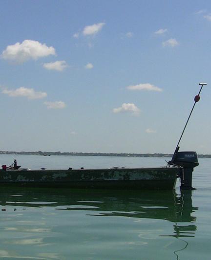 Fisherman on a boat in Sarasota Bay. Photo credit: Robin Draper.