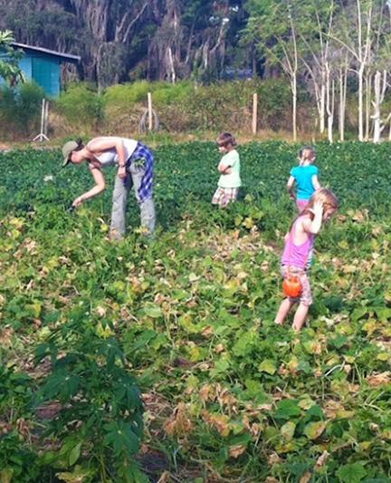 Jessica's Farm. Photo credit: Nicole Coudal