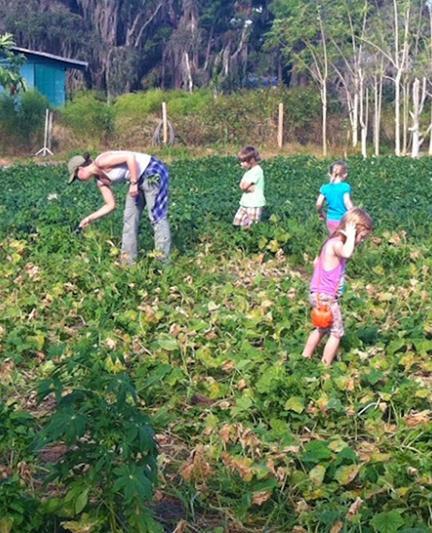 Jessica's Farm. Photo credit: Nicole Coudal