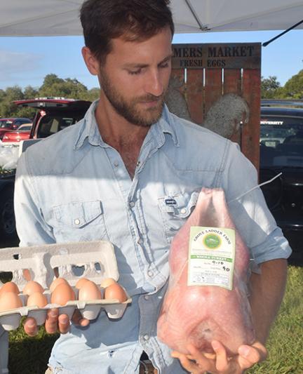 
Chicken at Grove Ladder
