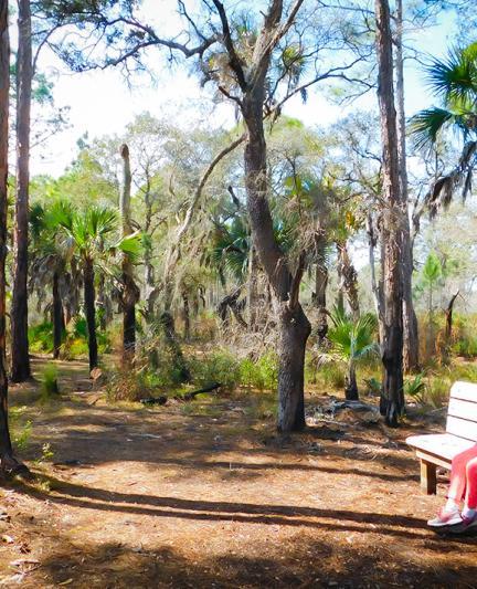 Sarasota Jungle Gardens - Photo Credit: Eddie Kirsch