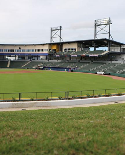 No chair? No problem in the grassy berm along the left field wall [Photo: Visit Sarasota County]