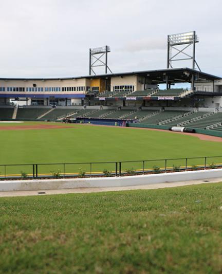 No chair? No problem in the grassy berm along the left field wall [Photo: Visit Sarasota County]
