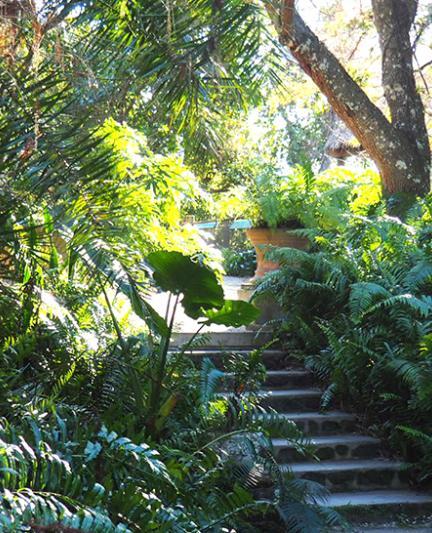 Jungle Walk at Historic Spanish Point. Photo Courtesy Lauren Jackson 