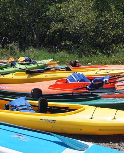 Kayaking in Sarasota County. Photo credit: Robin Draper.