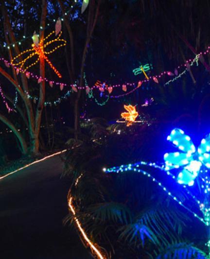 Selby's Annual Lights in Bloom event (Selby Gardens)