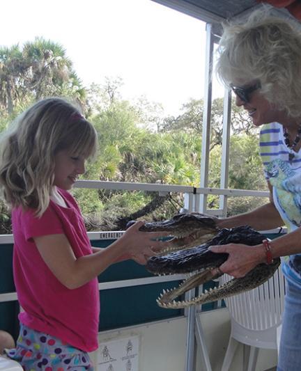 Gator skull up close on Logan River. Photo by Beth Luberecki.