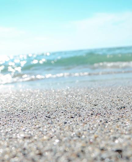 Manasota Key Beach’s unique “rainbow” shell texture.