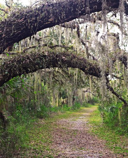 Myakka State Park