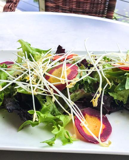 Plate at Muse at The Ringling