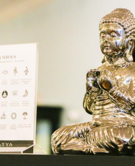 Global Wellness Day will be celebrated at The Westin on June 8