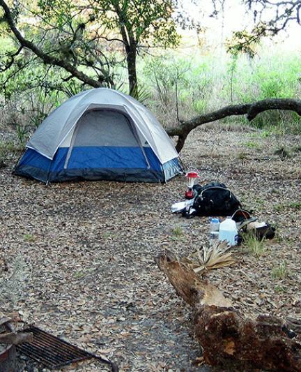 Primitive camping at Oscar Scherer State Park