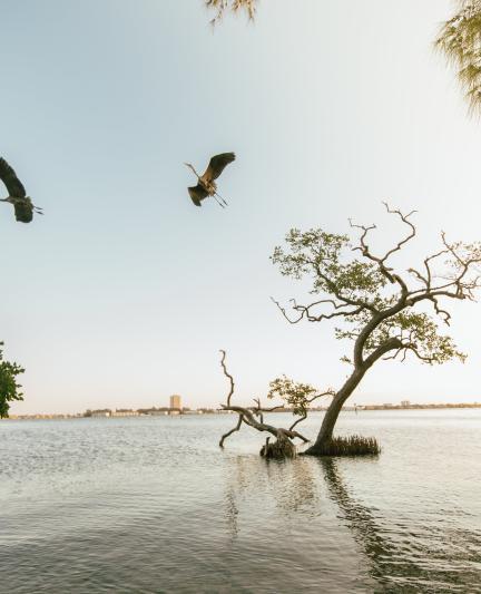 Quick Point Nature Preserve. Photo by Christina Astore.