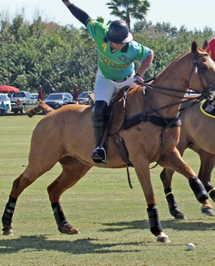 Sarasota Polo Club.  Photo credit: Robin Draper.